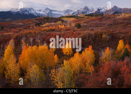 Farben des Herbstes und der Sneffels Strecke, San-Juan-Gebirge, Dallas teilen, Colorado. Stockfoto