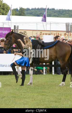 Jive Pony eine gut ausgebildete freie Arbeitspferd und Reiter Stockfoto