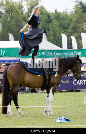 Jive Pony eine gut ausgebildete freie Arbeitspferd und Reiter Stockfoto