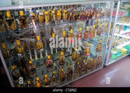 Asien, Vietnam, Cu Chi nr. Ho-Chi-Minh-Stadt (Saigon). Cu Chi Tunnel. Snake Wein zum Verkauf in der Tourist Shop. Schlange-Wein ist eine Stockfoto