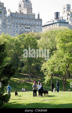 Hunde und Besitzer, Mehrfamilienhäuser Dog Hill und der Fifth Avenue, Central Park, New York Stockfoto