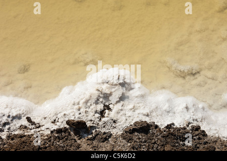 Kristallisiertes Salz in eine Verdampfung Teich, Algarve, Portugal Stockfoto