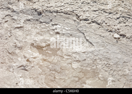 Kristallisiertes Salz in eine Verdampfung Teich, Algarve, Portugal Stockfoto