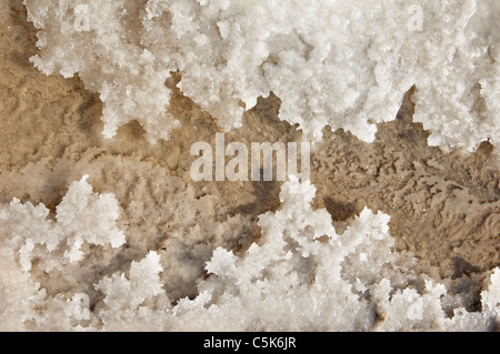 Kristallisiertes Salz in eine Verdampfung Teich, Algarve, Portugal Stockfoto