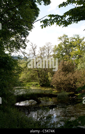 See auf dem Gelände des Traquair House, Innerleithen, Gunion Schottland UK Stockfoto