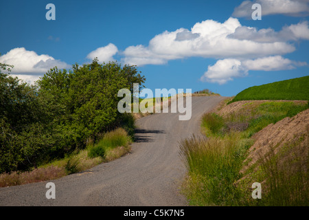 Landstraße in der Palouse Stockfoto