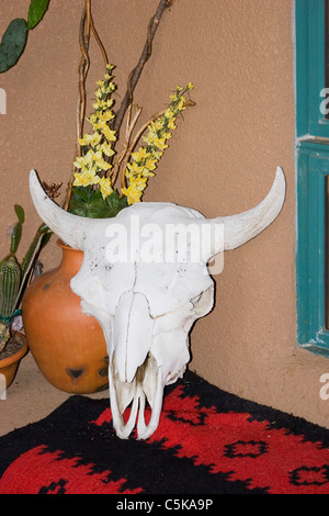 Vertikale Kuh Schädel mit indischen Decke und Blumen im Topf Stockfoto