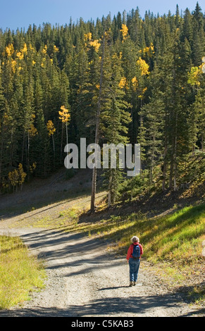 Vertikale Wanderer unterwegs in Taos Ski Valley, New Mexico Stockfoto