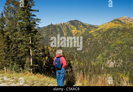 Frau Wanderer sieht Espen in den Bergen über Taos Ski Valley, New-Mexico Stockfoto