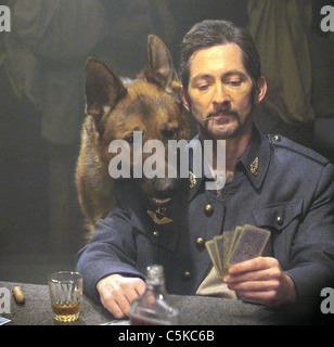 Diagnose Rin Tin Tin Jahr: 2007 USA Gregory Drehzapfen Regie: Danny Lerner Stockfoto