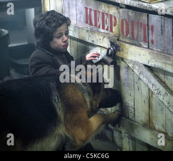 Diagnose Rin Tin Tin Jahr: 2007 USA Ivan Rankov Regie: Danny Lerner Stockfoto