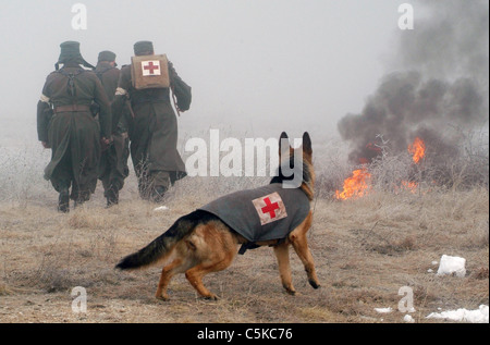 Diagnose Rin Tin Tin Jahr: 2007 USA Regie: Danny Lerner Stockfoto