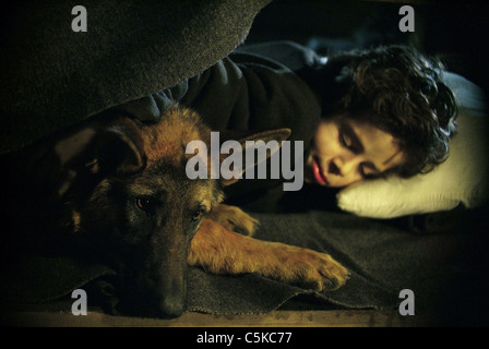 Diagnose Rin Tin Tin Jahr: 2007 USA Ivan Rankov Regie: Danny Lerner Stockfoto