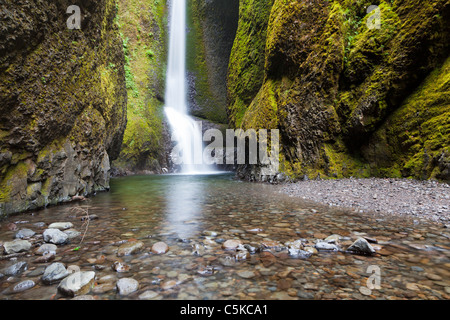 Lower Oneonta Falls Oregon USA Stockfoto