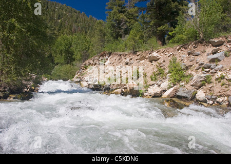 Rio Hondo fließt von Taos Ski Valley, Taos County, New Mexico Stockfoto