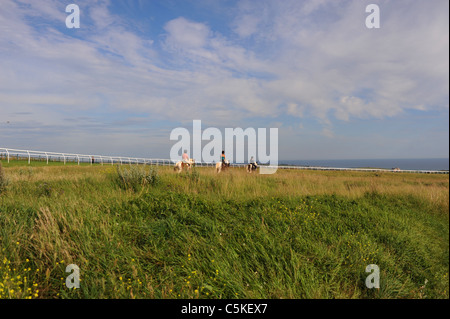 Pferdereiten und Wildblumenwiesen auf den Tiefen des Sheepcote Valley in der Nähe des Brighton Stadtzentrums, Großbritannien Stockfoto