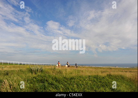 Pferdereiten und Wildblumenwiesen auf den Tiefen des Sheepcote Valley in der Nähe des Brighton Stadtzentrums, Großbritannien Stockfoto