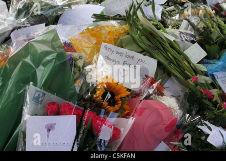 Schrein mit Blumen und Noten außerhalb der verstorbenen Sängerin Amy Winehouse Camden Haus in London, links von den Fans nach ihrem Tod Stockfoto