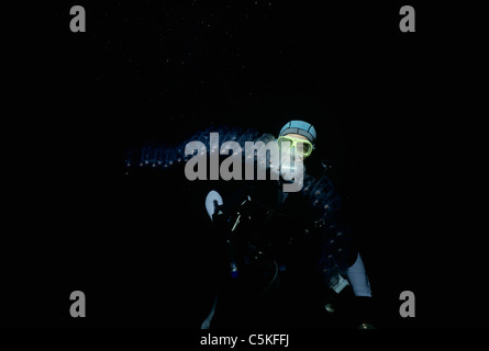 Taucher inspiziert Salp Kette (Thalia Democratica) in der Nacht in einer Tiefe von 30 Meter im offenen Ozean. Ägypten, Straße von Tiran, Rotes Meer Stockfoto