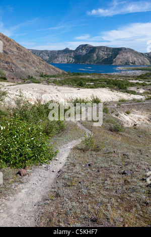 Trail führt in Richtung Spirit Lake in der Nähe von Vulkan Mount St. Helens Stockfoto