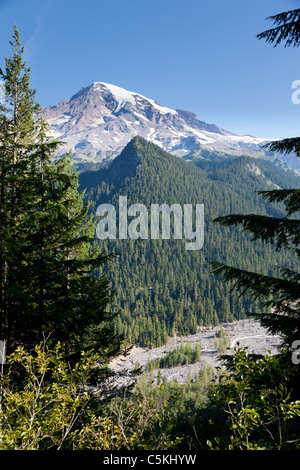 Wald und Mount Rainier Nationalpark, Washington, USA Stockfoto