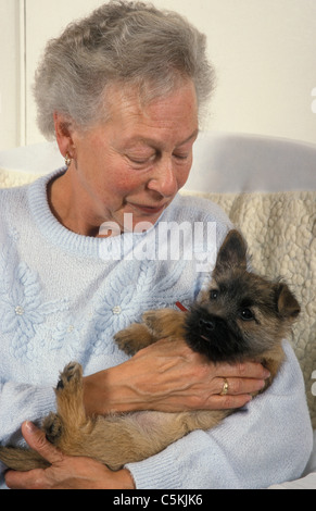 ältere Frau, die Cairn-Terrier Welpen Stockfoto