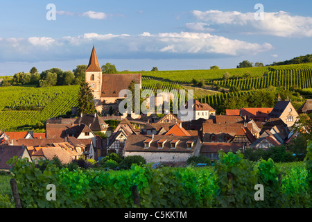 Am Abend Sonnenlicht über das mittelalterliche Dorf Hunawihr entlang der Weinstraße, Elsass Haut-Rhin-Frankreich Stockfoto