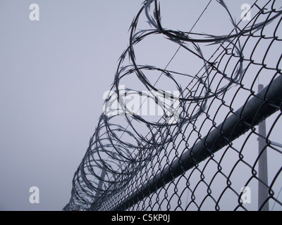 Spulen von Stacheldraht auf einem Draht Zaun in Nebel, um einen Strom Umspannwerk, Neuseeland Stockfoto