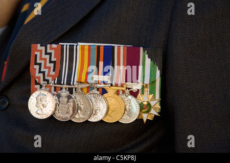 Nahaufnahme von 7 Neuseeland Medaillen für den Dienst in Vietnam auf Tweed-Jacke eines RSA-Mitglieds, Vietnam Veteranen Parade 2008 Stockfoto