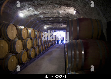 Reihen von Eichenfässern in Wein Höhle bei Gibbston Valley Wines, Queenstown, Neuseeland Stockfoto