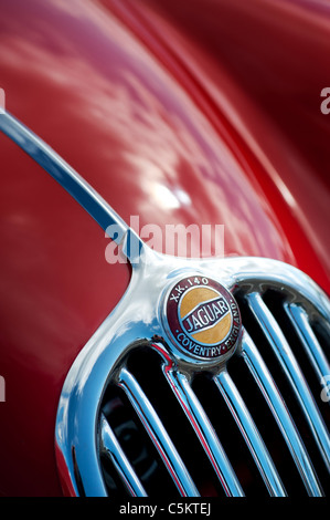 Jaguar XK 140. Front-End-Detail. Britische Oldtimer Stockfoto