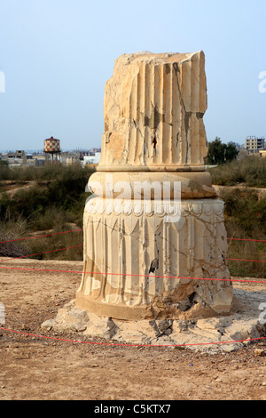 Palast von Darius ich (späten 6. Jahrhundert v. Chr.), Shush (alte Susae), Provinz Khusestan, Iran Stockfoto