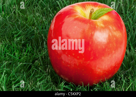 Roter Apfel mit einem Blatt auf Rasen Stockfoto