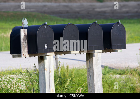 Reihe von black USA Mail-Postfächer in Iowa Vereinigte Staaten von Amerika Stockfoto