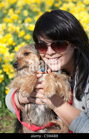 Eine niedliche Terrier Mix Rasse Pup statt von seinem Besitzer posiert vor der Narzissen Frühlingsblumen. Stockfoto