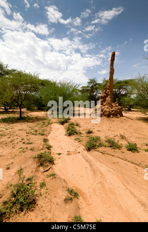 Typische Kleinräumigkeit nahe nieder am unteren Omo-Tal, Südliches Äthiopien, Afrika. Stockfoto