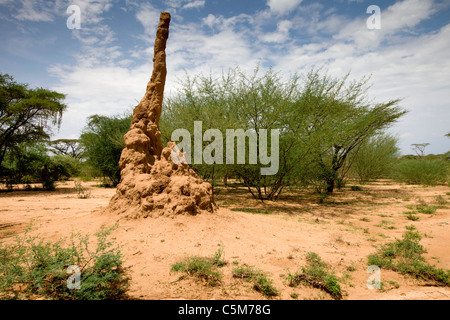 Typische Kleinräumigkeit nahe nieder am unteren Omo-Tal, Südliches Äthiopien, Afrika. Stockfoto