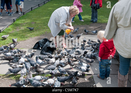 Frau, die Tauben füttern. Dublin, Irland Stockfoto