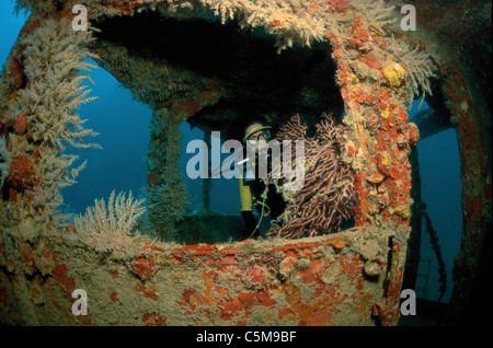 Taucher auf den Schiffbruch des Adlers Stockfoto