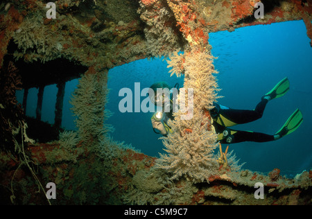 Taucher auf den Schiffbruch des Adlers Stockfoto