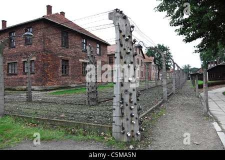 Detail der Elektrozaun in Auschwitz, Polen Stockfoto