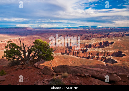 Sonnenuntergang am Grand View Point Overlook, Canyonlands National Park, Utah, USA Stockfoto