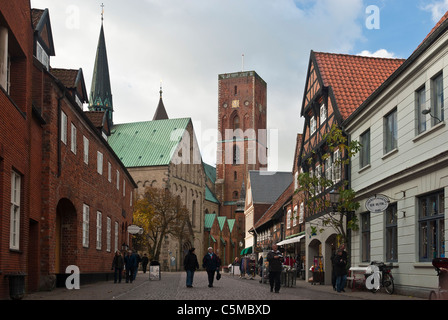 Altstadt mit Ribe Dom und Einkaufsstraße, Jütland, Dänemark Stockfoto