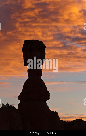 Thors Hammer im Morgengrauen, Amphitheater, Bryce-Canyon-Nationalpark, Utah, USA Stockfoto