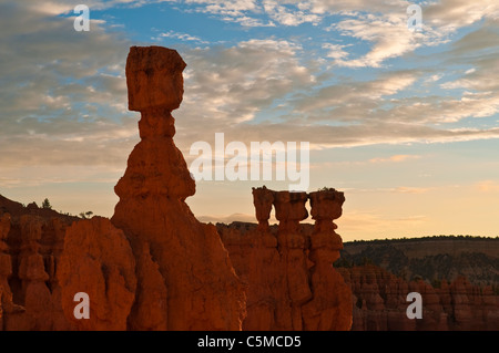 Thors Hammer im Morgengrauen, Amphitheater, Bryce-Canyon-Nationalpark, Utah, USA Stockfoto