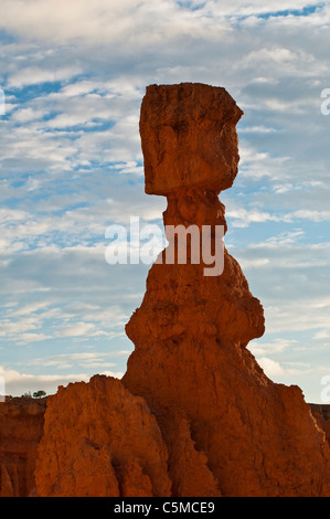 Thors Hammer im Morgengrauen, Amphitheater, Bryce-Canyon-Nationalpark, Utah, USA Stockfoto