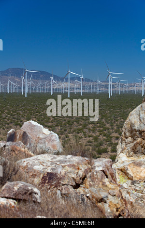 Mojave, Kalifornien - Windkraftanlagen in den Tehachapi Pass. Stockfoto