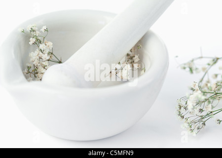 Mörser und Stößel mit Blumen Stockfoto