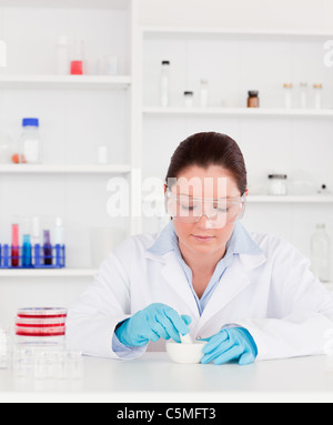 Junge Wissenschaftler, die Vorbereitung ein experimentieren mit Handschuhen Stockfoto