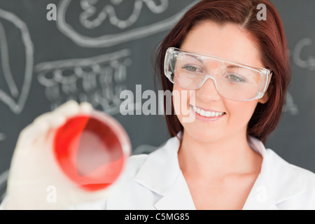 Nahaufnahme eines rothaarigen Wissenschaftlers Blick auf einer Petrischale Stockfoto